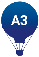 a3